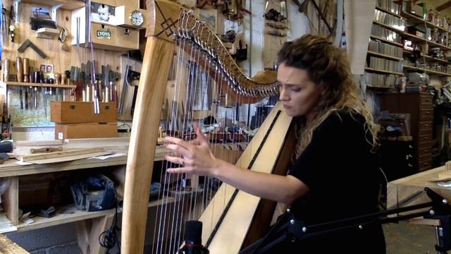 Claire O'Donnell - An Bhuatais/The Rectory Reel - Harrington Harps смотреть онлайн