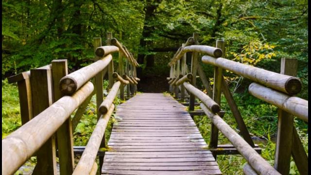 Le petit pont de bois - Yves Duteil cover by Richie Varan смотреть онлайн