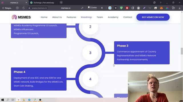 MSMES - Токен проекта смотреть онлайн