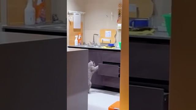 поймали на месте преступления смотреть онлайн