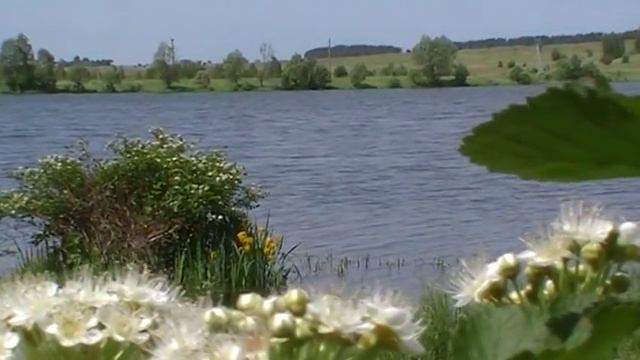 Белёвский р-н(Тульская обл.) д, Сергеевка 31 мая 2014 смотреть онлайн