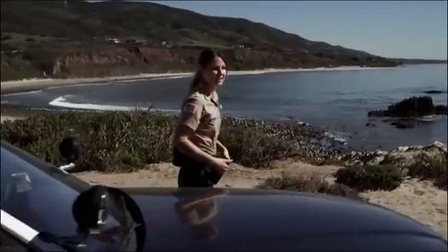 Les Dents De La Plage | Action | Film Complet En Français