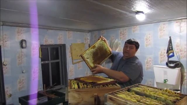 Экспресс "сборка" гнезд в зиму нуждающимся. смотреть онлайн