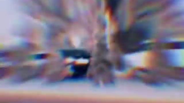 покатушки слет друзей Бишкек смотреть онлайн