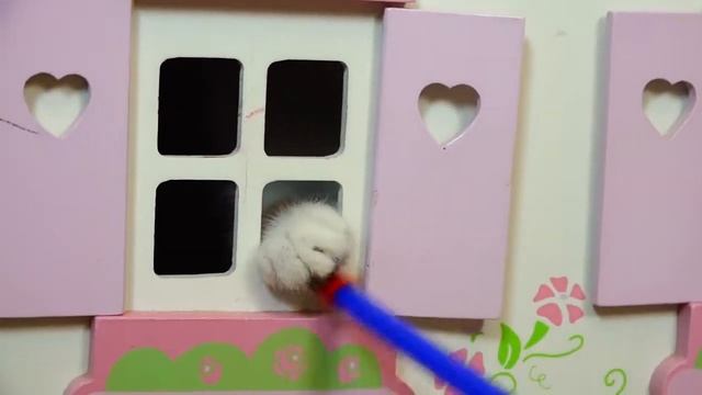 КОТЕНОК БАНТИК ?? ?? ИГРАЕТ В ЗАМКЕ смешные коты и котята 2018 NEW family смотреть онлайн