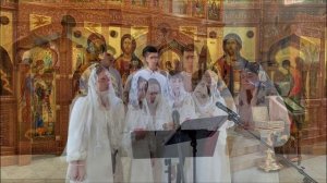 "Херувимская" Знаменный распев обр Т. Шагиахметов #литургия #херувимская #молитва #рек #вера