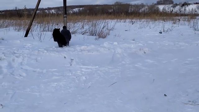 Гречка с грибами и котлетами\ПРИДЁТСЯ ПОКУПАТЬ\Деревенские будни\ смотреть онлайн