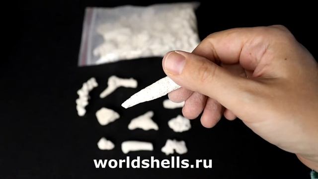 Коралловая крошка 1-4 см. 200 гр. смотреть онлайн