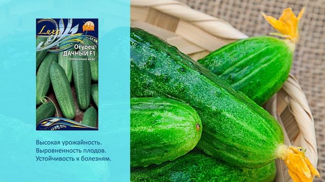 Как подготовить почву для посева семян | Сами с усами смотреть онлайн