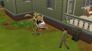 нил сисирега выкидывает злой кустраник в сисм 4