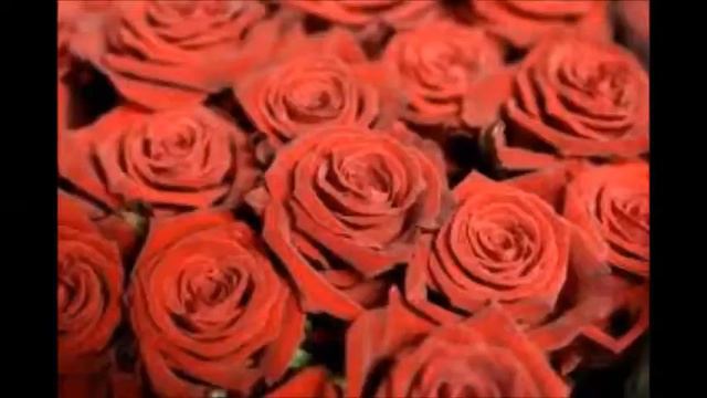 Sylvia van der Beek - Rose Garden, recorded by Dik Heintzbergen смотреть онлайн