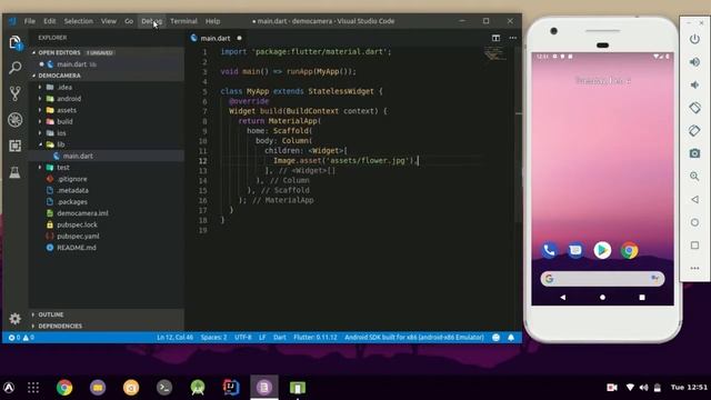 Flutter - Display an Asset and Network (URL) Image смотреть онлайн
