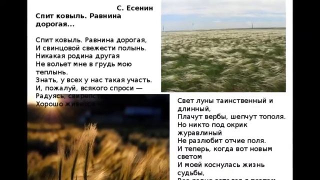 Авт исп Михаил Оводов Спит ковыль Равнина дорогая Есенин С А смотреть онлайн