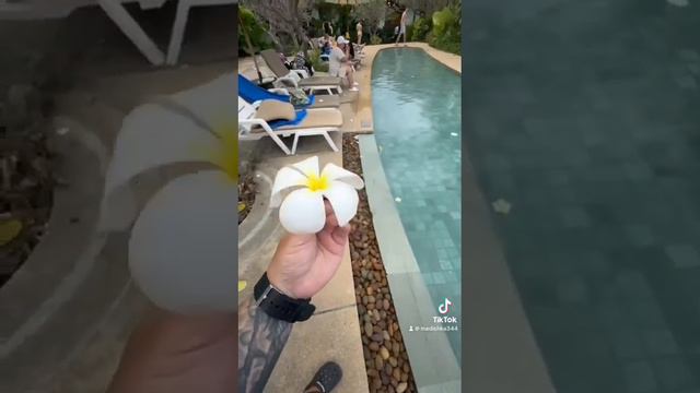 Радостные открытия