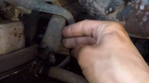 Как помыть двигатель Ланос Сенс.