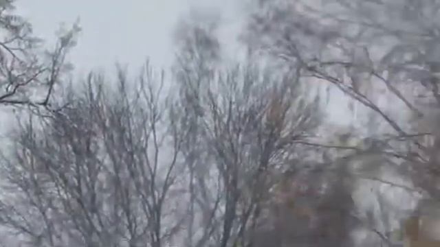 Дмитров с Дмитрием Грачёвым 28.10.2012 смотреть онлайн