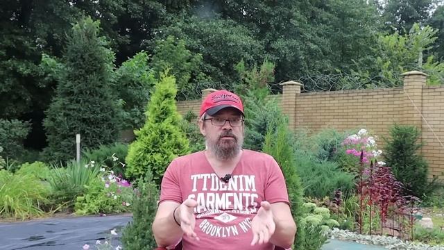 Почему невозможно принять себя! смотреть онлайн