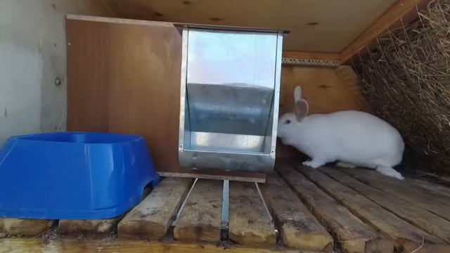 Утеплённый маточник для кроликов.
