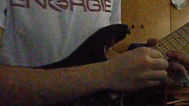 I play my Ibanez rg 1550 смотреть онлайн