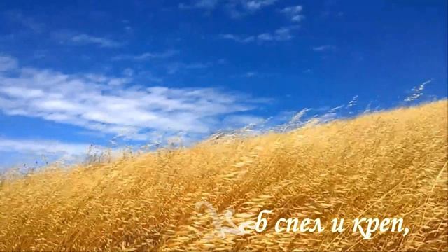 За Святую Русь,помолюсь! смотреть онлайн