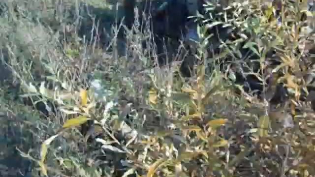 Дороги к заброшенной деревне смотреть онлайн