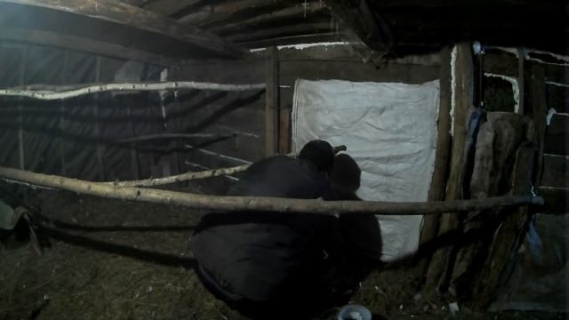 СНОВА О ПТИЧКАХ // МЯСА НЕ БУДЕТ смотреть онлайн