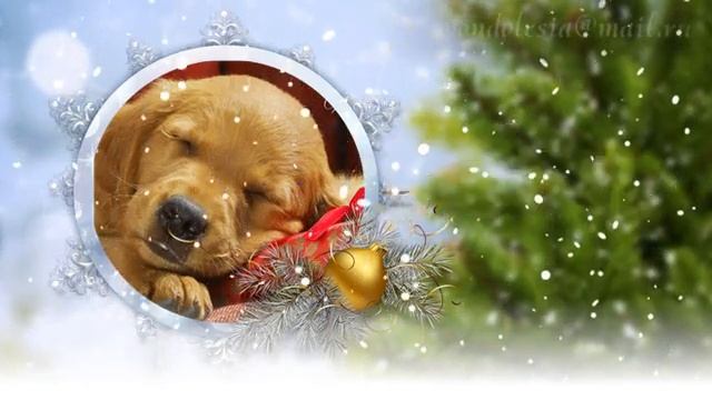 Стили для ПРОШОУ ПРОДЮСЕР Новогодние смотреть онлайн