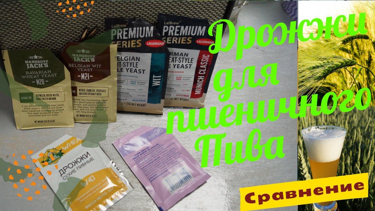 Дрожжи для ПШЕНИЧНОГО ПИВА! Сравнение, замер плотности, дегустация. смотреть онлайн