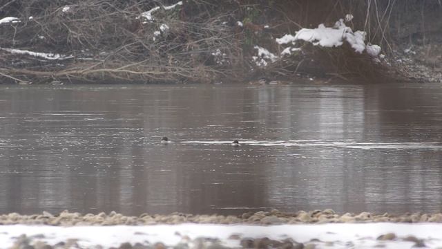 Sony A6000 Ttartisan 500