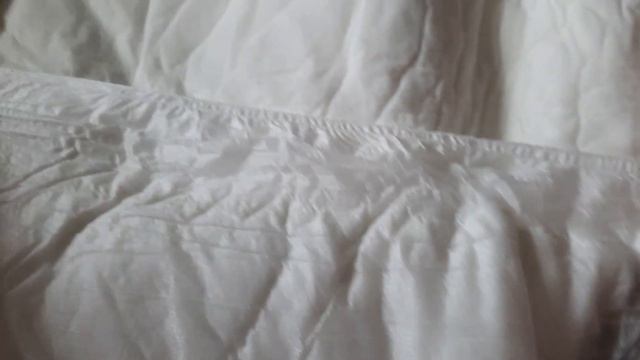 Rearz Rebel ABDL diaper смотреть онлайн