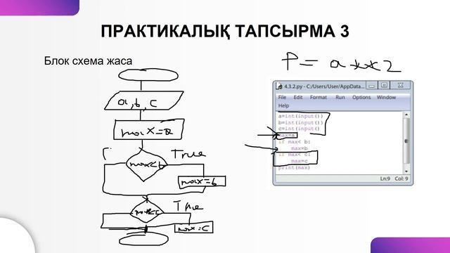 Python. Тармақталған алгоритмдер. Информатика ҰБТ-ға дайындық смотреть онлайн