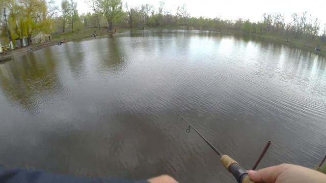 Три заброса - три поклёвки. Ловля форели на SMITH Niakis 48mm 3g (AREA FISHING) смотреть онлайн