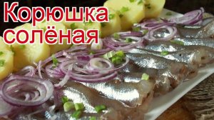 Рецепты из Корюшки - как приготовить корюшку пошаговый рецепт - Корюшка солёная за 130 минут