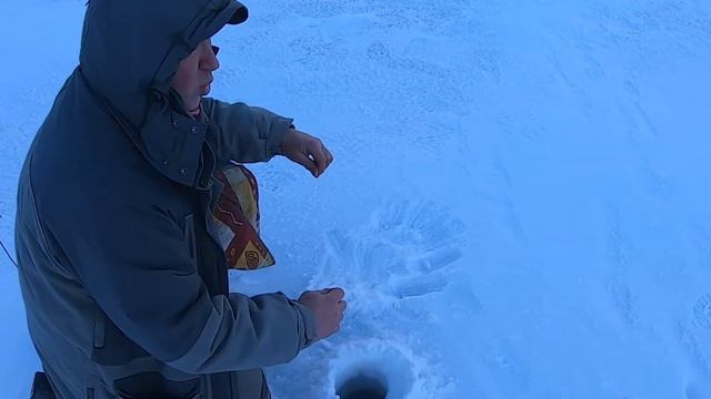 Рыбалка на щуку. Телецкое озеро смотреть онлайн