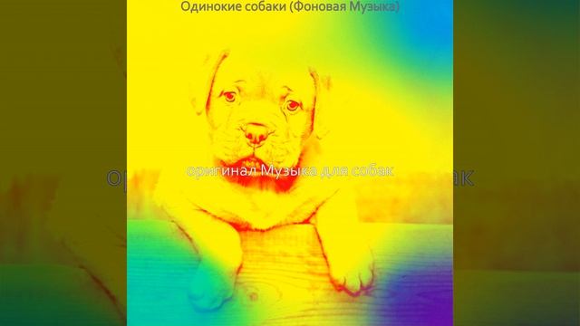 Видения (Выгул собак) смотреть онлайн