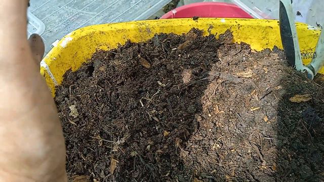 БОЛТАЛКА ПО ПОВОДУ ВЧЕРАШНЕГО ВИДЕО О ПАНах. ОТВЕТ НА ВЫСКАЗЫВАНИЕ. ПОДПИСЧИЦЫ. смотреть онлайн