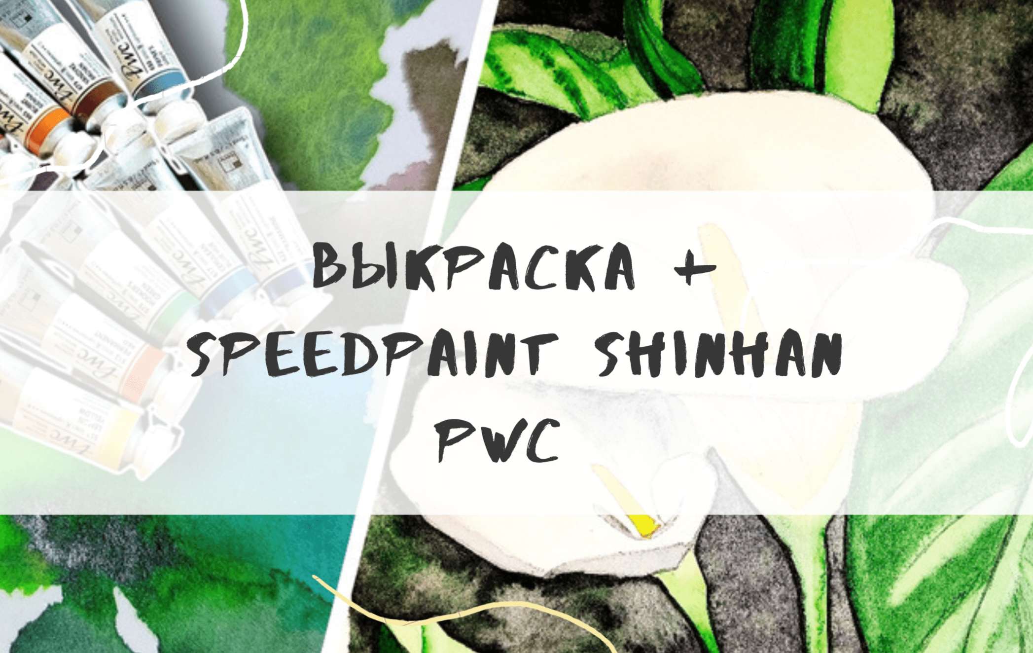 Shinhan Pwc +speedpaint