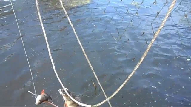 Рыболовы-Герои