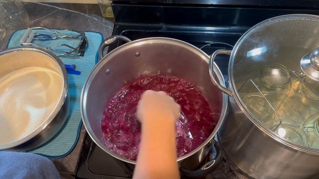 Mustang Grape Jelly | Canning | Wild Foraged смотреть онлайн