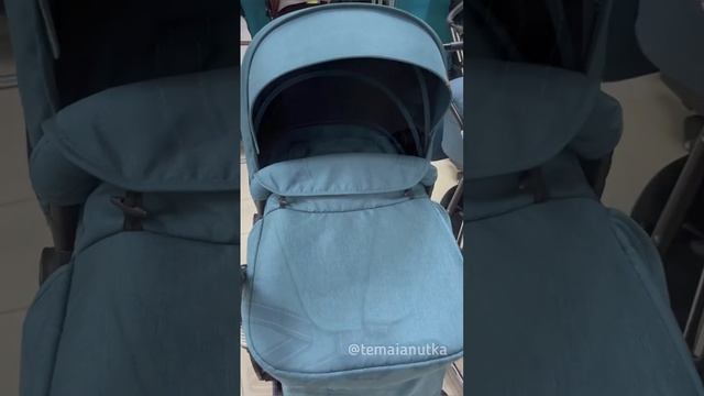 Коляска-трансформер INDIGO LOTUS 2в1