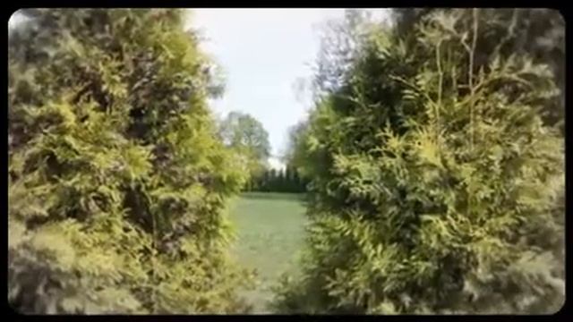 Соловьиная роща смотреть онлайн