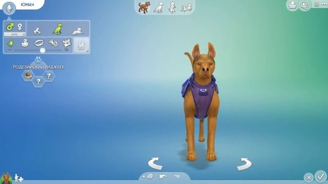 TS4 Чудо Генетики | Собака | The Sims 4 Кошки и собаки смотреть онлайн