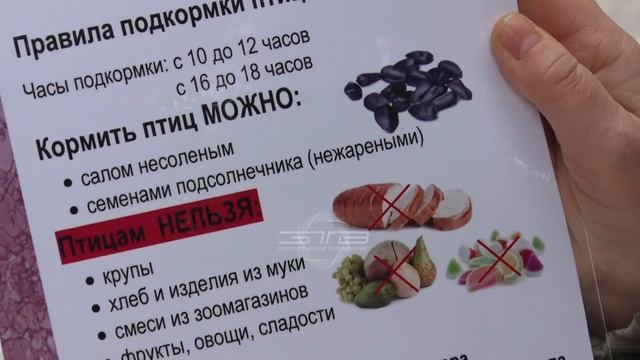 Жители Златоуста заступились за таганайских птиц смотреть онлайн