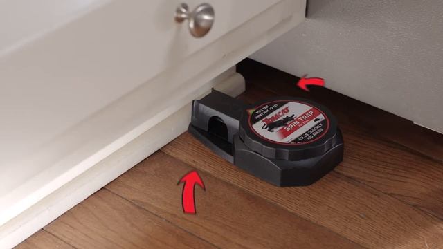 How to Catch and Kill Mice Using the Tomcat® Spin Trap смотреть онлайн
