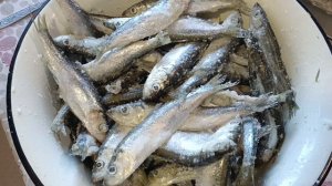 РЫБКА К ПИВУ ! ДЕШЁВАЯ ЗАКУСКА. Салака ? Однако..