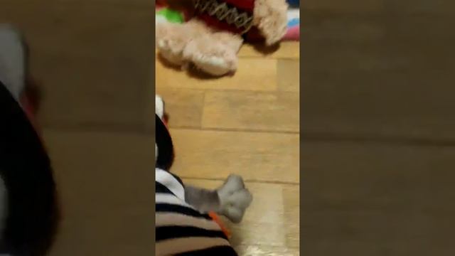 Мои мягкие игрушки ? 1 часть смотреть онлайн