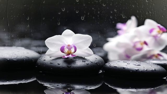 Спа | Отдых | Медитация | Дзен | Баланс | Эмоциональная музыка смотреть онлайн