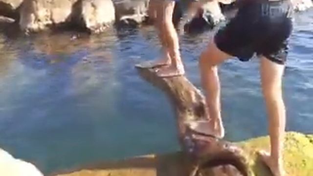Ныряет, Плавает С Афрокосичками. Рядом Мальчишки Трудятся смотреть онлайн