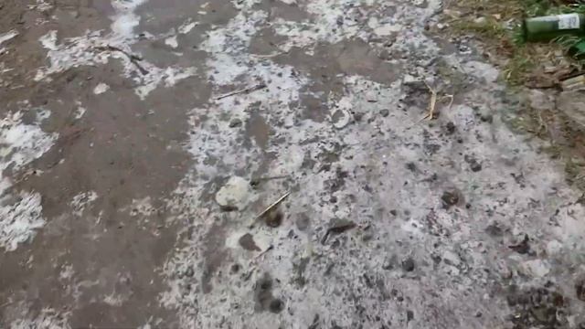 Ранній буряк в теплиці смотреть онлайн