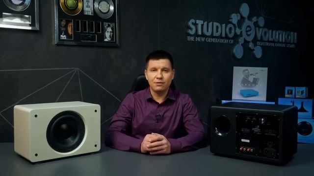 Акустическая система для караоке EvoSound Sphere 2.1. смотреть онлайн